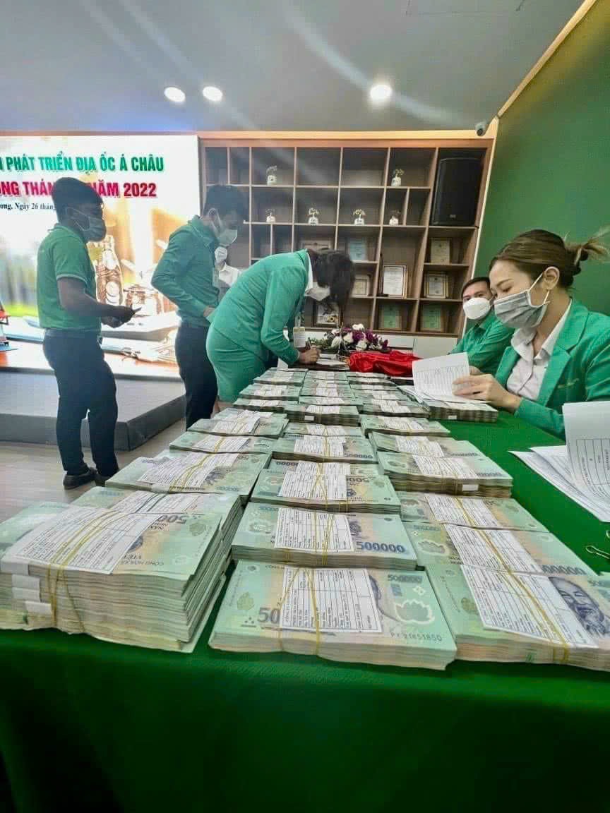 lĩnh vực hoạt động